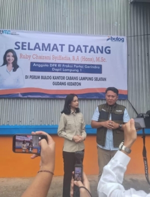 Anggota DPR Tinjau Gudang Bulog Lamsel Pastikan Stok