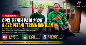 CPCL Benih Padi 2026 Pesisir Barat Tetapkan 8.472 Petani Penerima Bantuan
