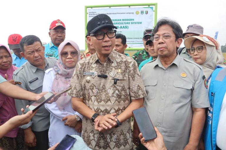 PM-AAS Lampung Dongkrak Produktivitas Padi hingga 11,4 Ton