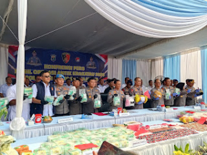 Operasi Antik Krakatau Ungkap 379 Kasus Narkotika Lampung